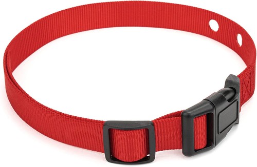 Replacement collar strap - collar,
