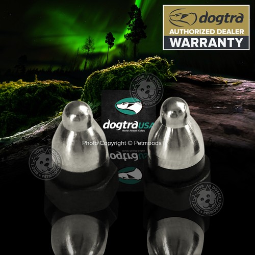 Dogtra contact points - contact, 5/8"