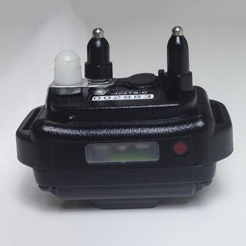 Collar educator adapter - e-collar, cp-adapter